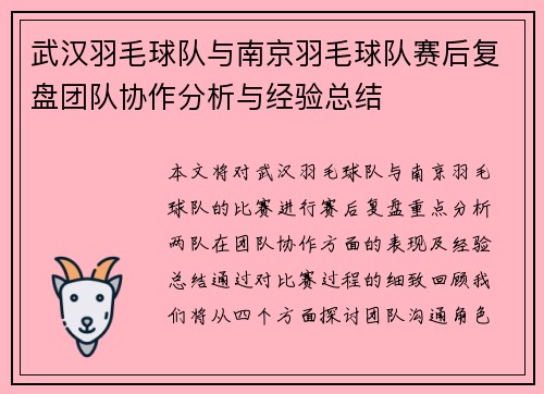 武汉羽毛球队与南京羽毛球队赛后复盘团队协作分析与经验总结